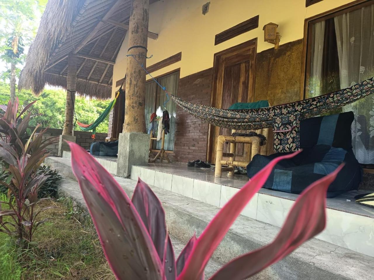 Melody Surf - Ekas Lombok Hotel Eksteriør billede