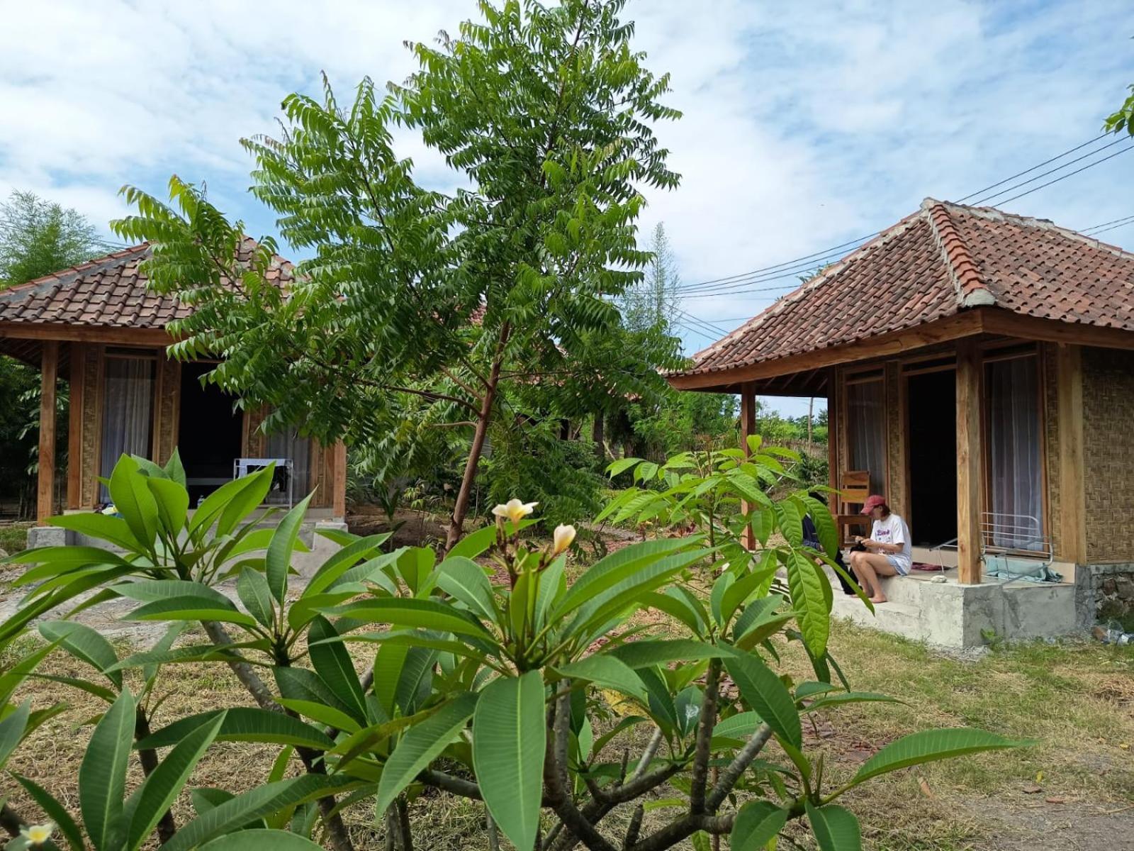 Melody Surf - Ekas Lombok Hotel Eksteriør billede