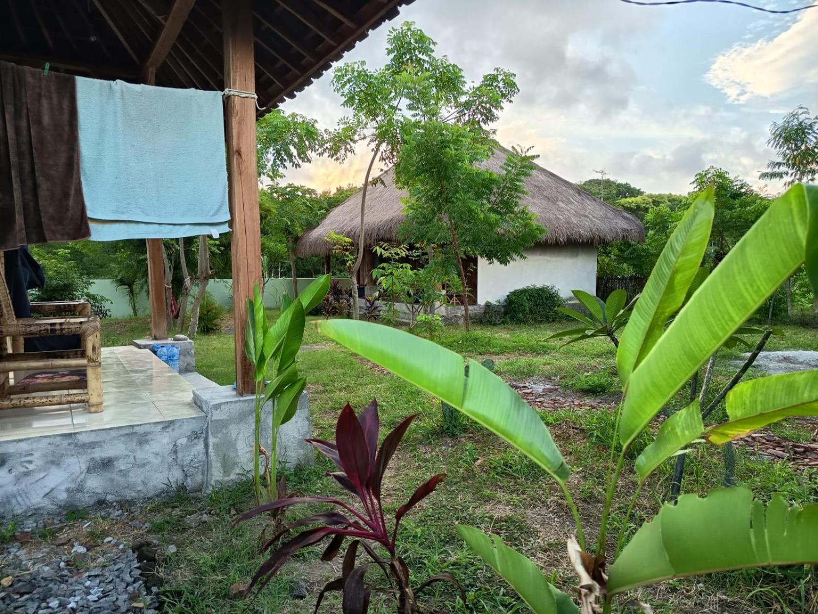 Melody Surf - Ekas Lombok Hotel Eksteriør billede