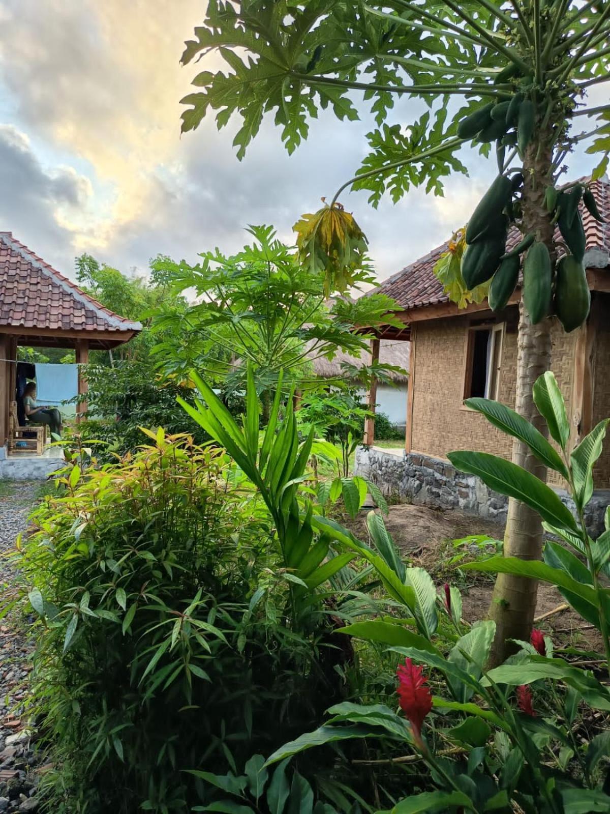Melody Surf - Ekas Lombok Hotel Eksteriør billede