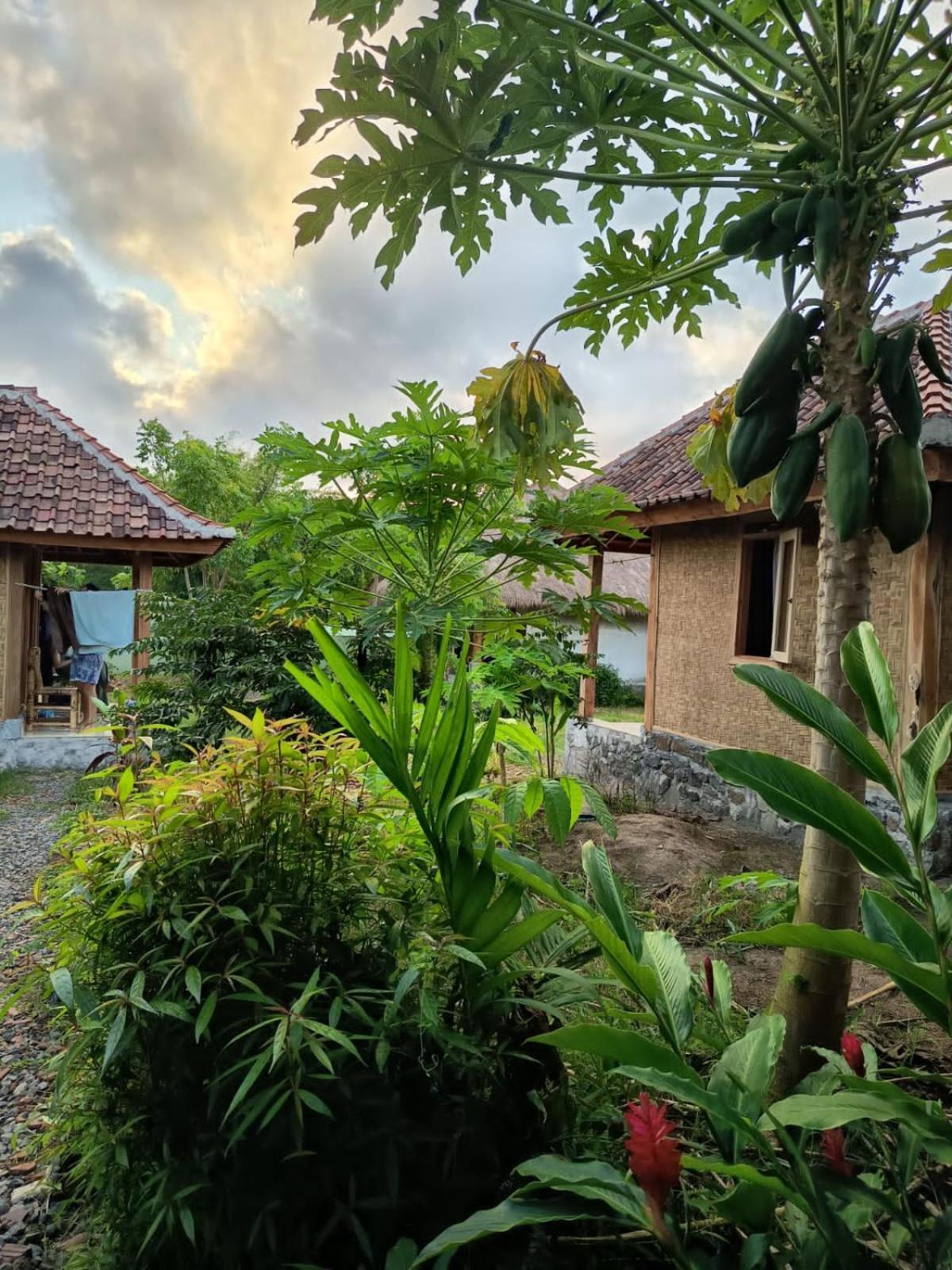 Melody Surf - Ekas Lombok Hotel Eksteriør billede